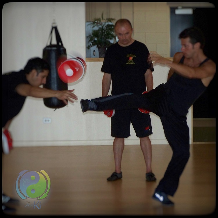 Sifu Andreas JKD relaxed power kick